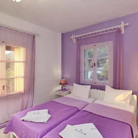 Evaggelia Apartmán Neo Klima